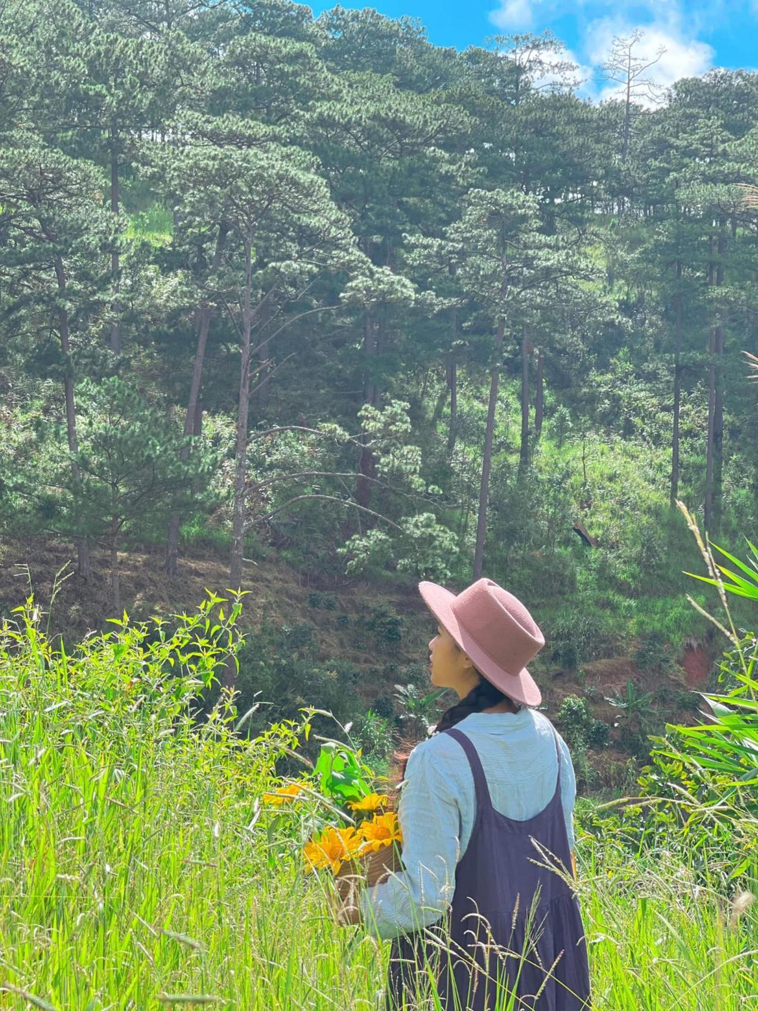 Dalat Memories Homestay - Pho Suong Mo ดาลัด ภายนอก รูปภาพ
