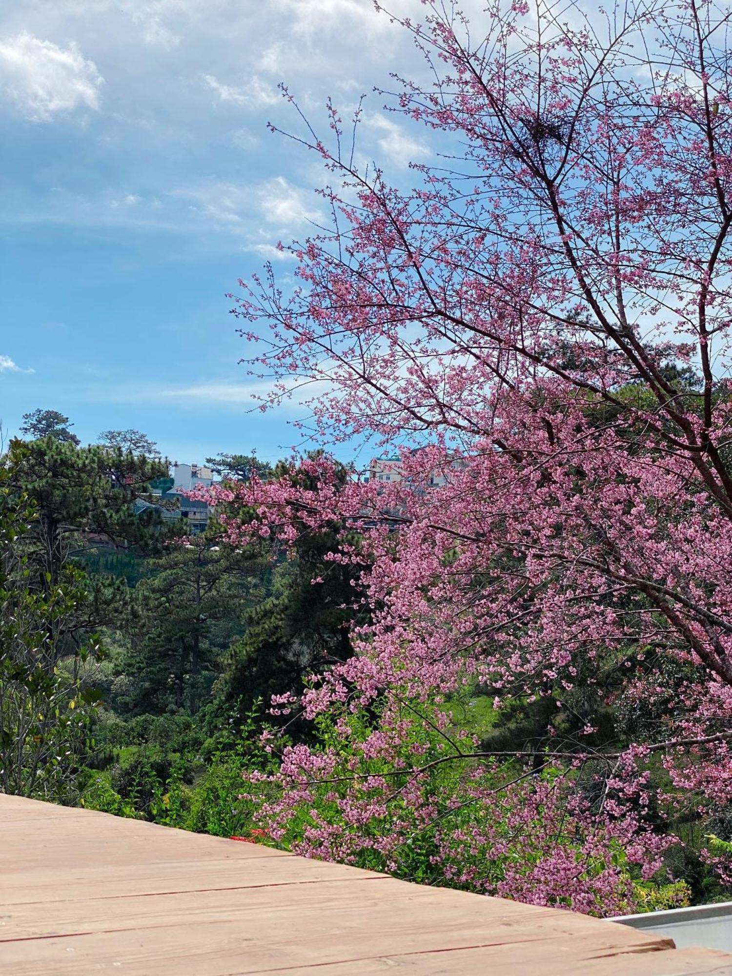 Dalat Memories Homestay - Pho Suong Mo ดาลัด ภายนอก รูปภาพ