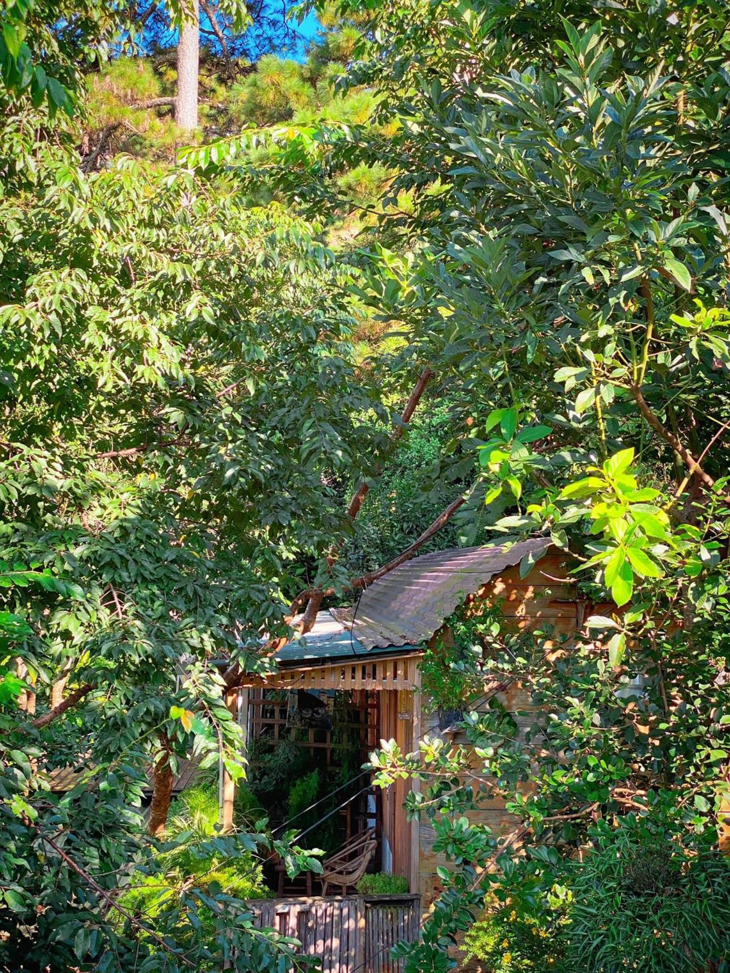 Dalat Memories Homestay - Pho Suong Mo ดาลัด ภายนอก รูปภาพ