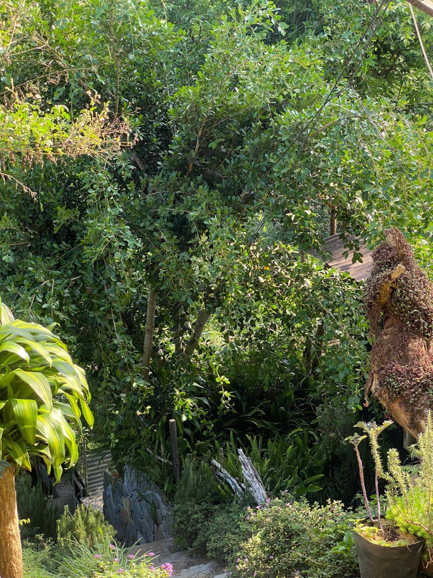 Dalat Memories Homestay - Pho Suong Mo ดาลัด ภายนอก รูปภาพ