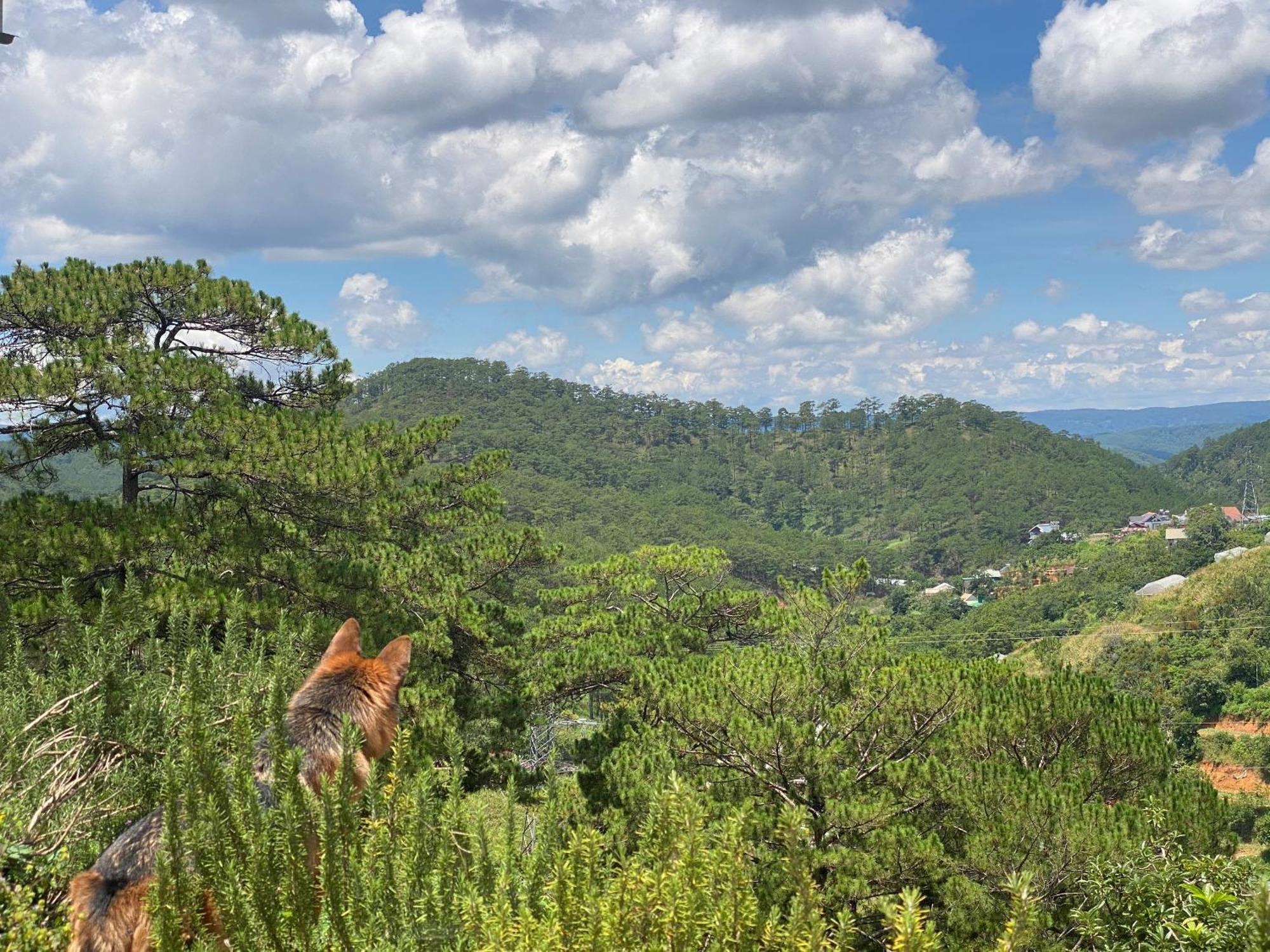 Dalat Memories Homestay - Pho Suong Mo ดาลัด ภายนอก รูปภาพ