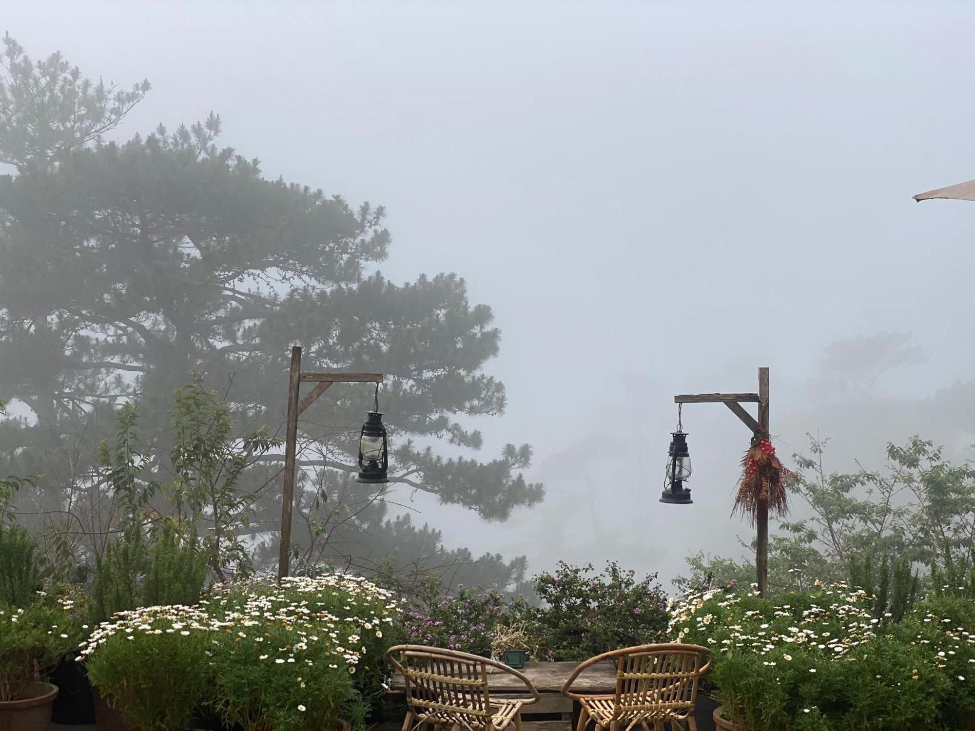 Dalat Memories Homestay - Pho Suong Mo ดาลัด ภายนอก รูปภาพ