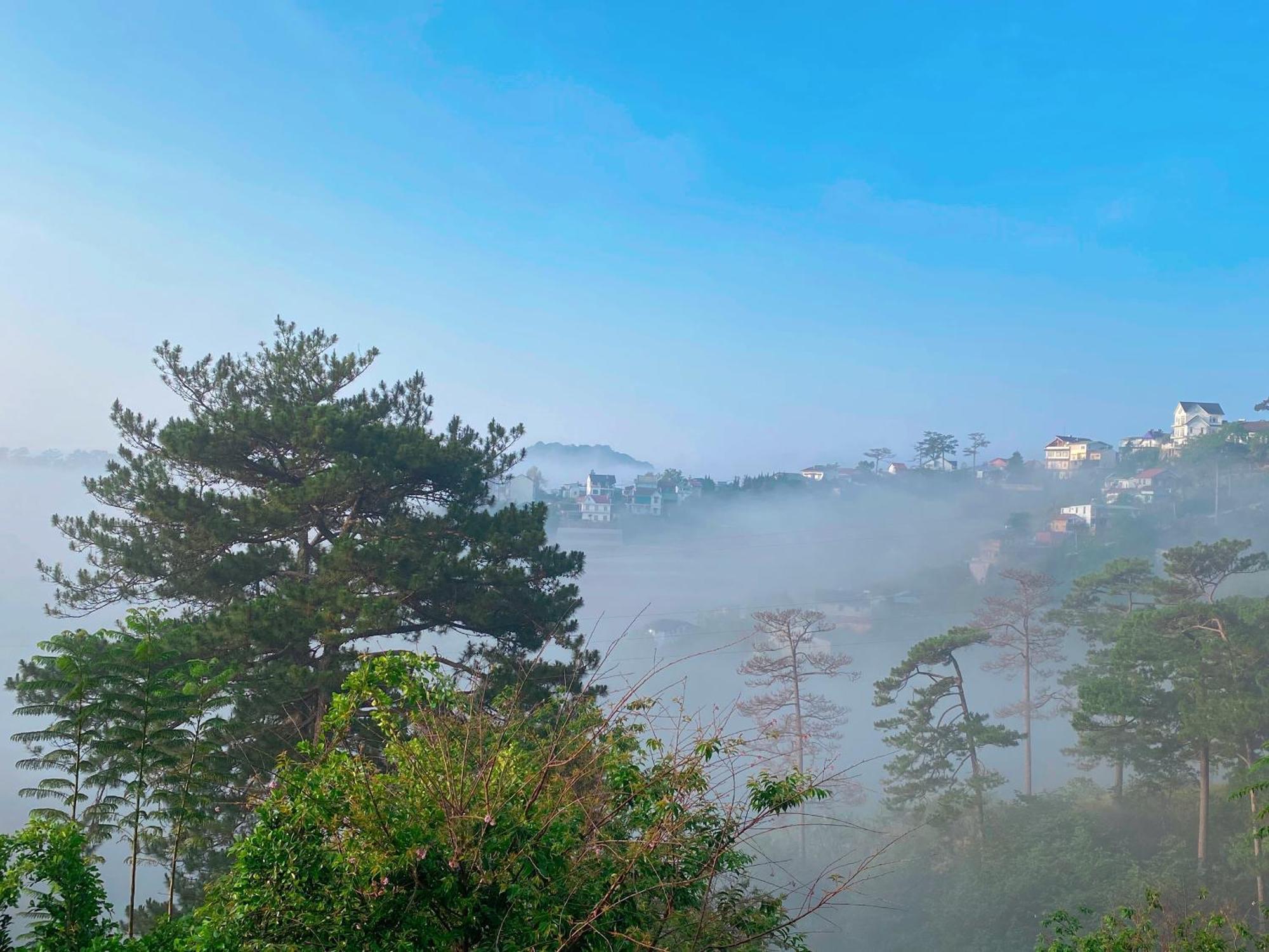 Dalat Memories Homestay - Pho Suong Mo ดาลัด ภายนอก รูปภาพ