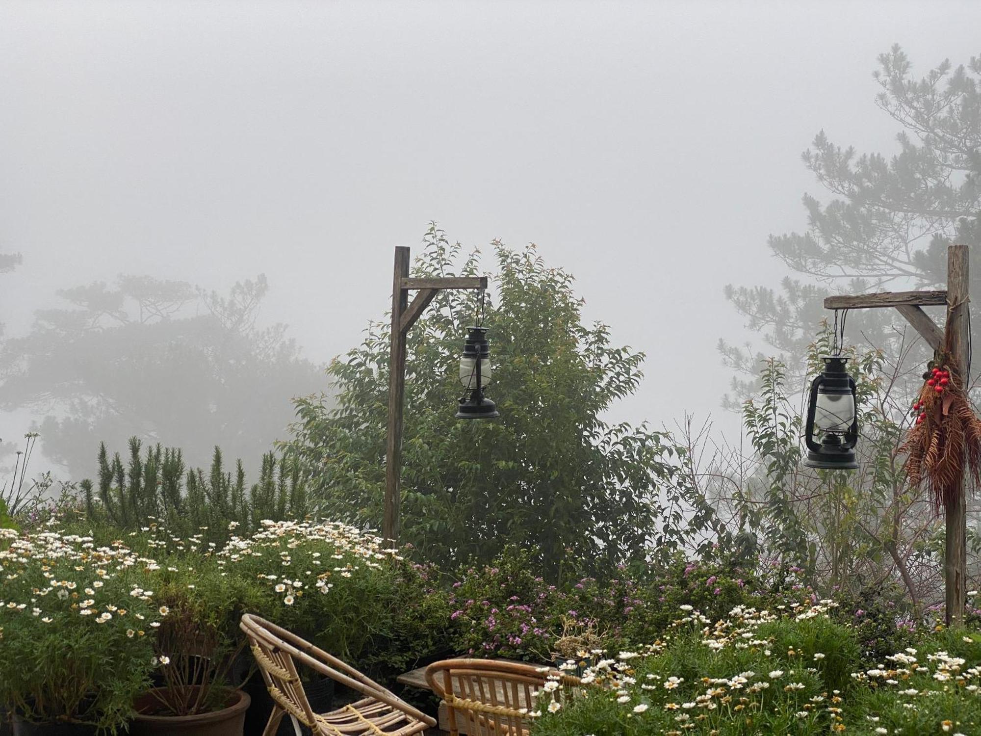 Dalat Memories Homestay - Pho Suong Mo ดาลัด ภายนอก รูปภาพ