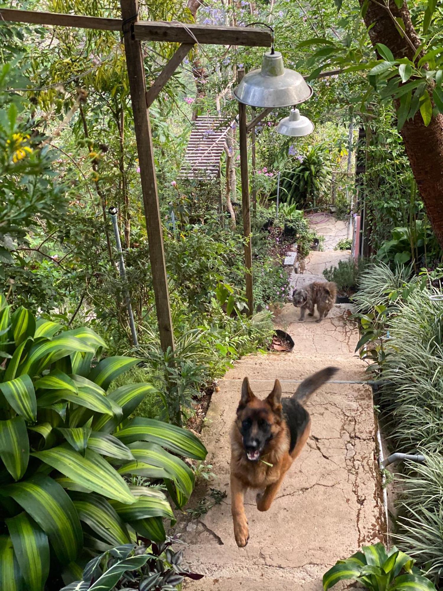 Dalat Memories Homestay - Pho Suong Mo ดาลัด ภายนอก รูปภาพ